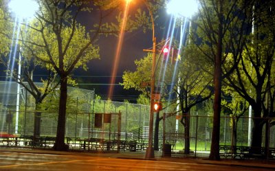 illuminated park