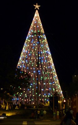 Christmas tree, Plaza España, Cordoba, Ar