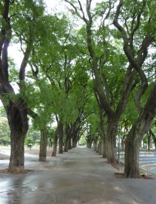 Parque Lezama, San Telmo, Buenos Aires, Ar