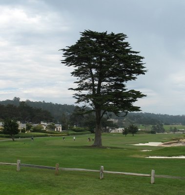 Fairway in front of the clubhouse, Pebble Beach, Monterey, CA