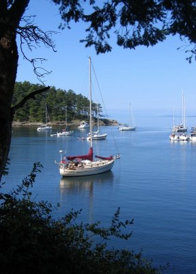 Shallow Bay, Sucia Island