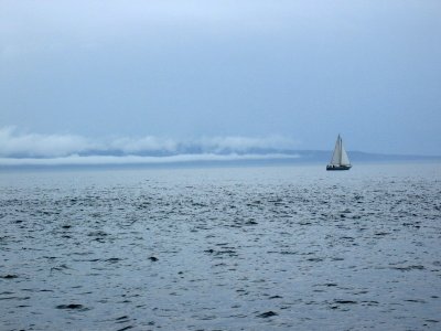g3/89/257489/3/123818836.XsyH5khr.jpg