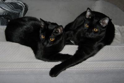 Cherie and Jack
