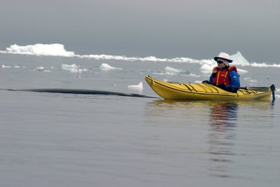 IMG_4954.jpg