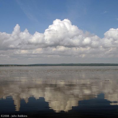 Potomac Reflections 2