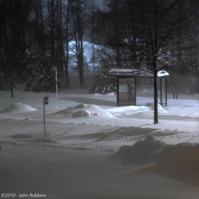 Bus Stop