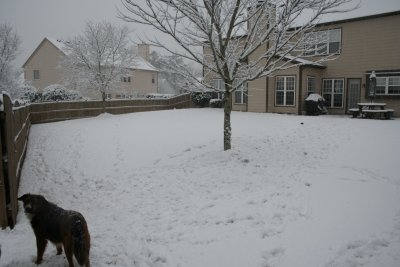 Snow2010_426 [1600x1200].JPG