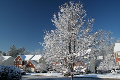 Snow2010_483 [1600x1200].JPG