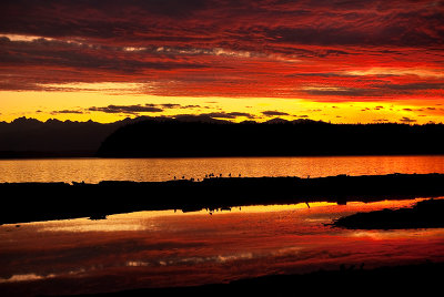 Puget Sound Sunset