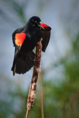 2010031759-Edit.jpg