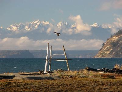 Landing
