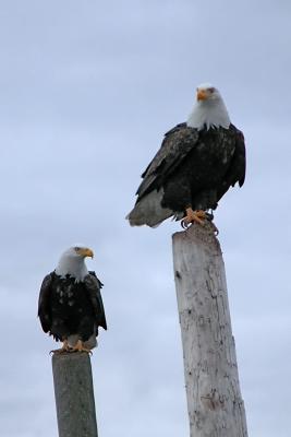 Fred (L) & Ethel (R)