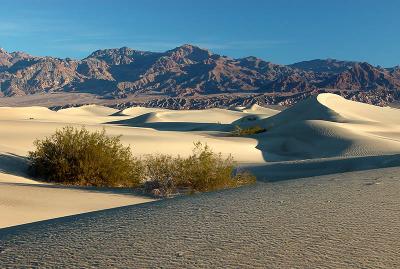 Mesquite Flats Dunes at Stovepipe Wells