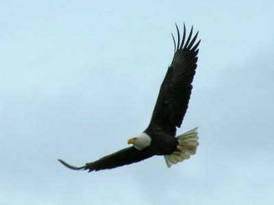 2006011403.jpg