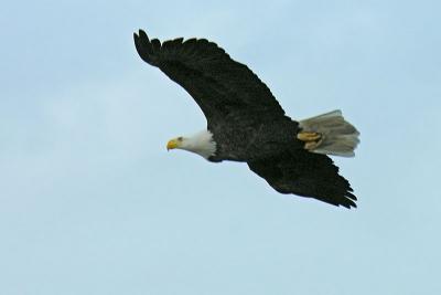 Making a pass