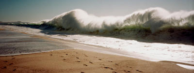 Monster Shorebreak