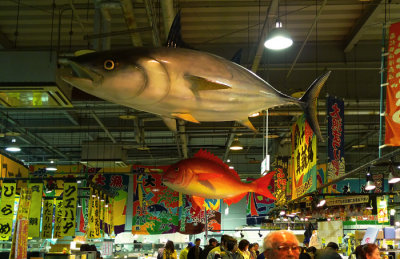 nغ    Tore Tore Fish Market