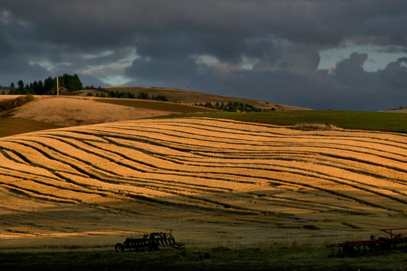 The Palouse