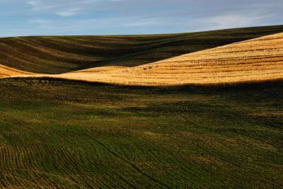 The Palouse