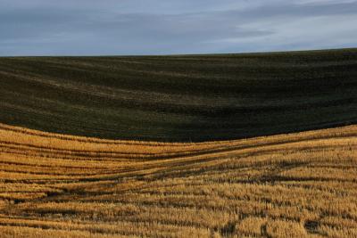 The Palouse