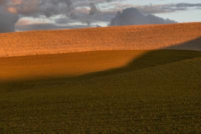 The Palouse