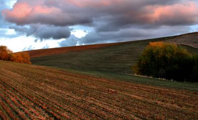 The Palouse