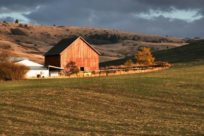 Farm and house