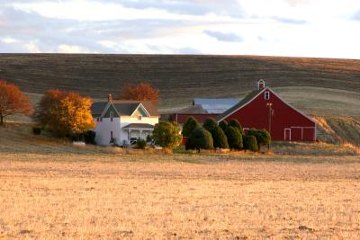 A farm.