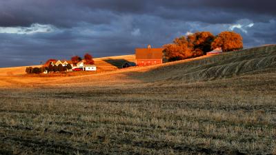 Farm view 2