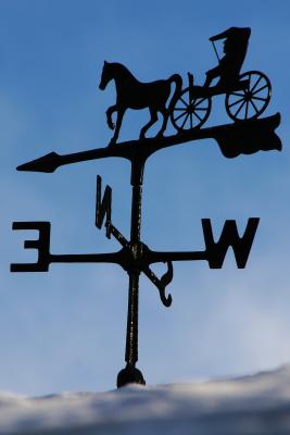 g3/89/381389/3/58548267.IMG_7014a.jpg