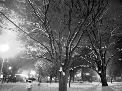 g3/89/469389/3/120835072.7OhKHQ1X.jpg