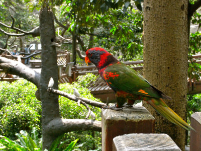 Hong Kong Park