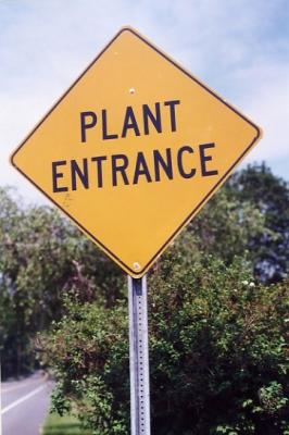 Plant Entrance Yellowframe NJ.jpg