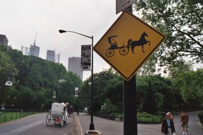 Horse and Buggy Central Park.jpg