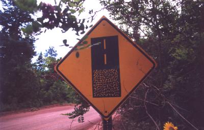Road Ends (Cuba, NM)