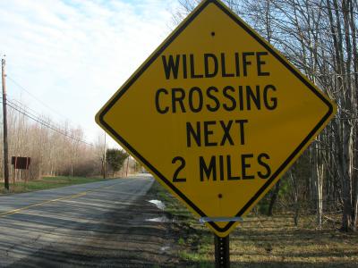 Wildlife Crossing Next 2 Miles near Morristown NJ.JPG
