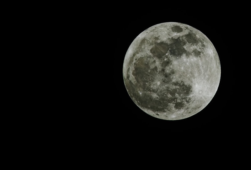 moon 1-29-10 B.jpg