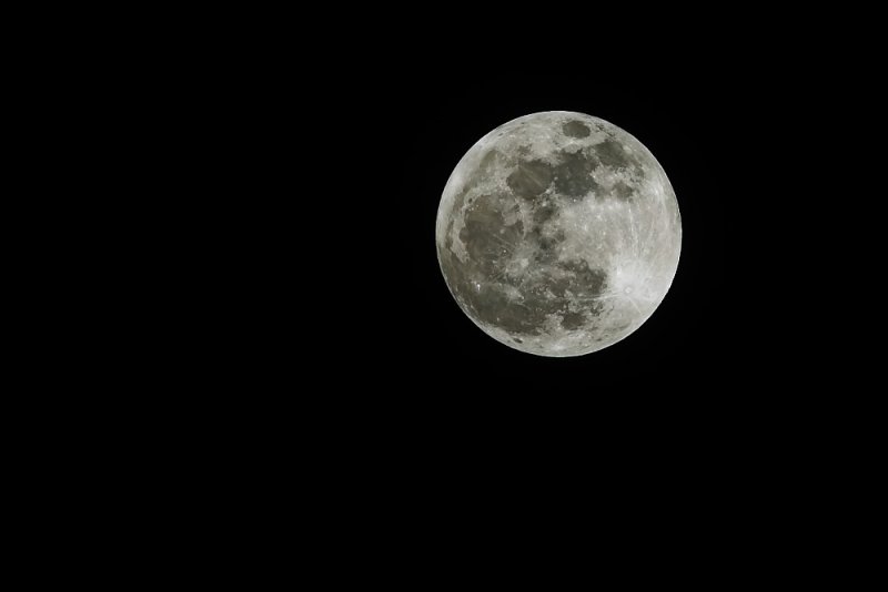 moon 1-29-10.jpg