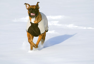 Maggie Snow 2.jpg