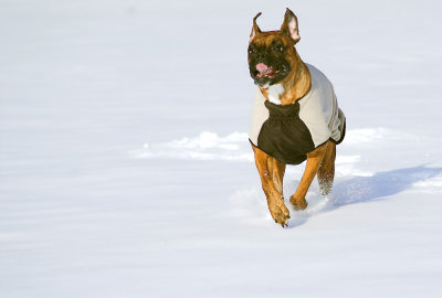 Maggie Snow 3.jpg