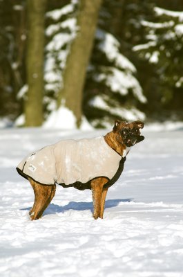 Maggie Snow 5.jpg