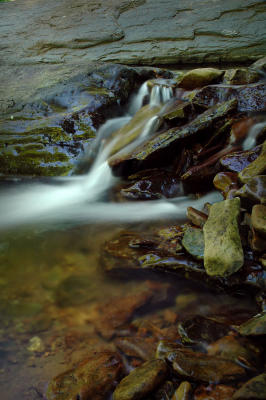 Hunter Creek 9s.jpg