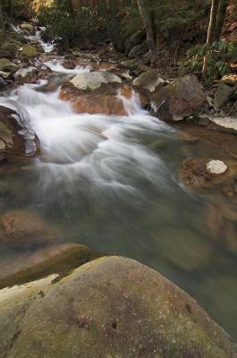 Indian Run 5s.jpg