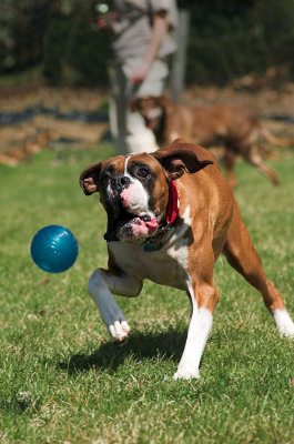 Vinny Fetch 1s.jpg