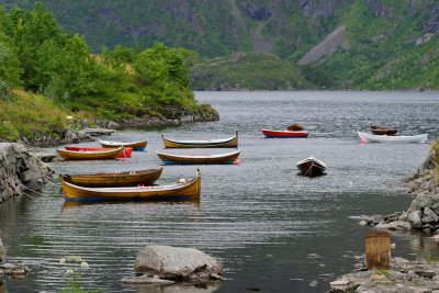 Lofoten-216