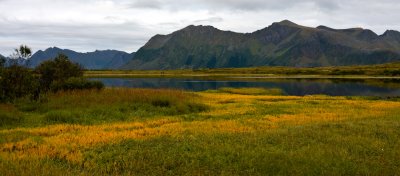 Lofoten-306