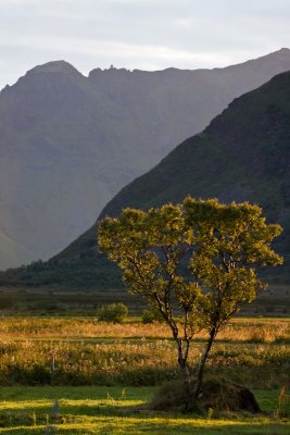 Lofoten-312