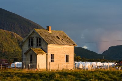 Lofoten-313