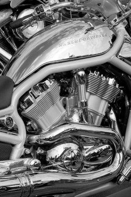 Harley Davidson 1