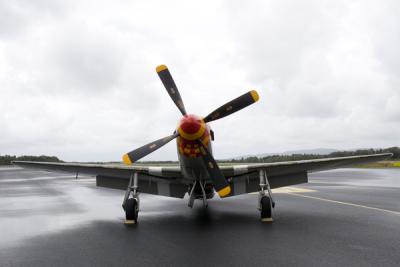 Mustang P-51